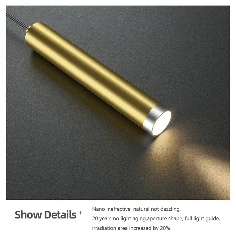 DINDALLED LED Pendant Light Restaurant Hanging Lamp Smart Remote Control Color Temperature Brightness Living Room Chandelier