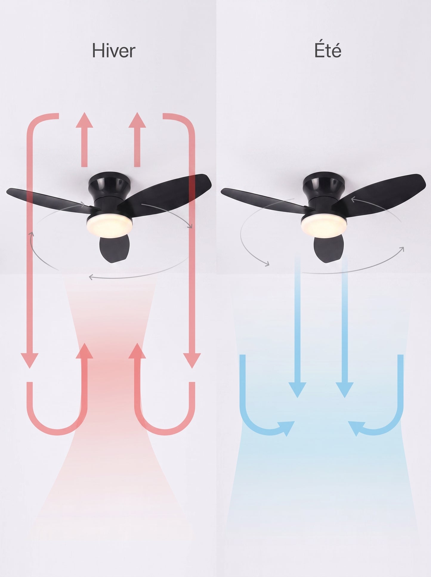 Plafonnier Ventilateur LED Compact 65cm - ZEPHYR