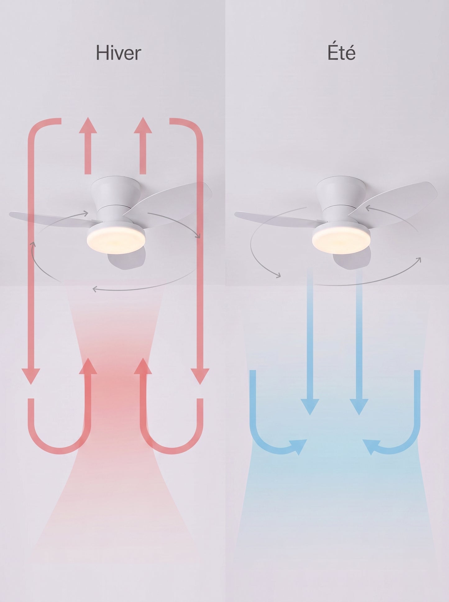 Plafonnier Ventilateur LED Compact 65cm - ZEPHYR