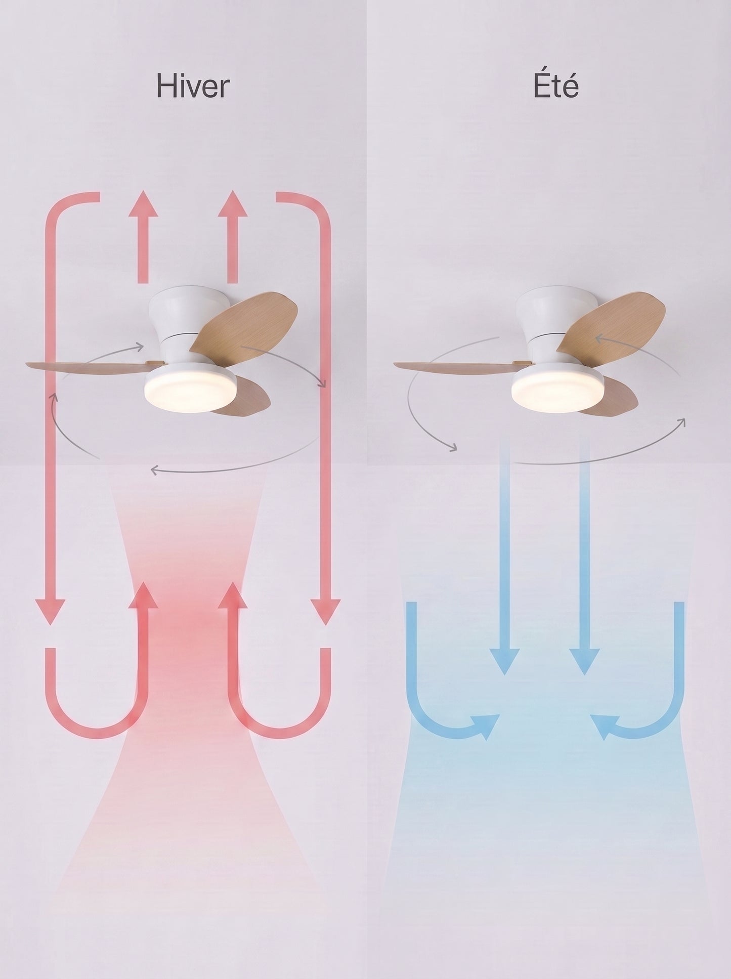 Plafonnier Ventilateur LED Compact 65cm - ZEPHYR