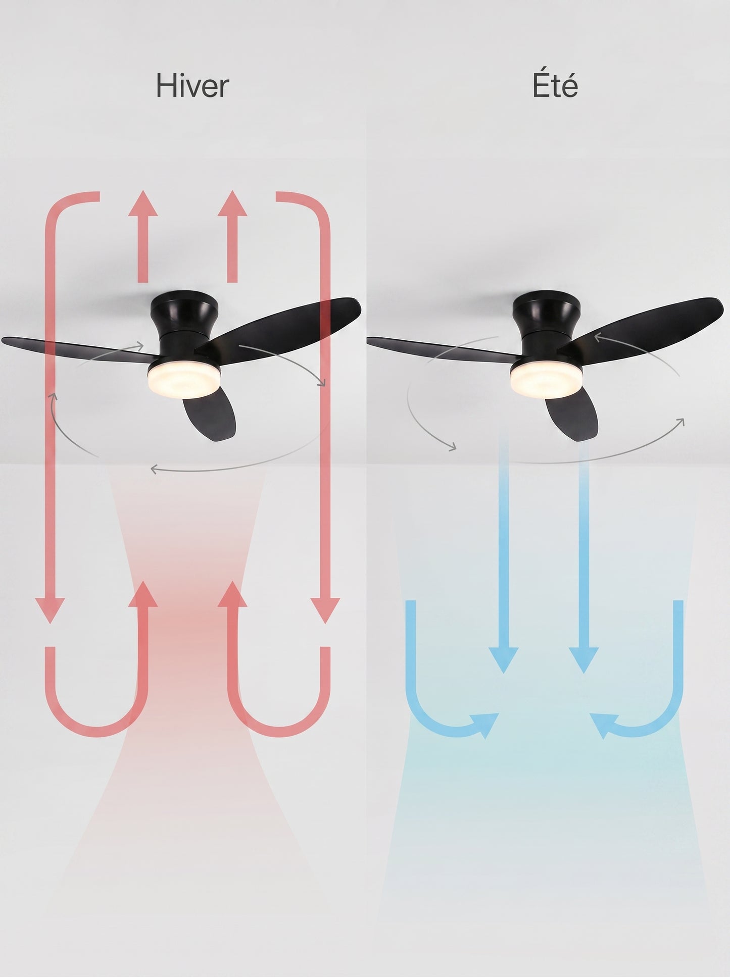 Plafonnier Ventilateur LED Design - VENTO