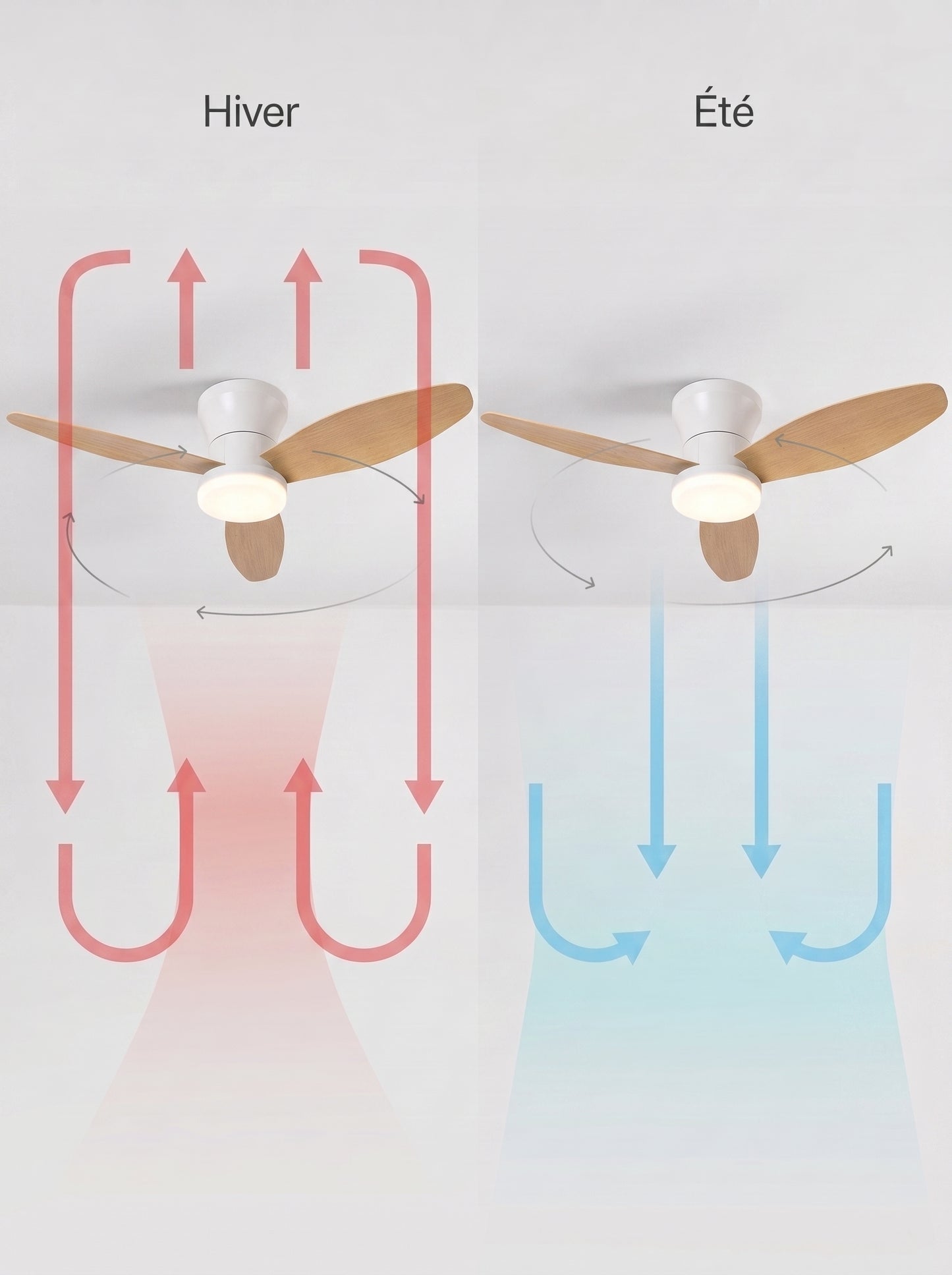 Plafonnier Ventilateur LED Design - VENTO