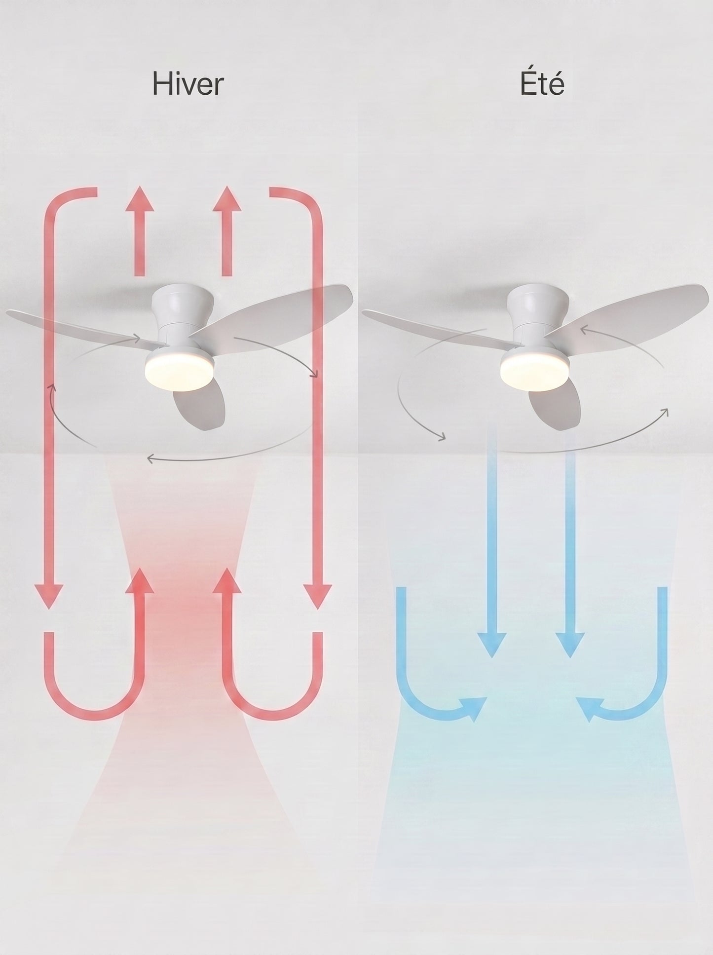 Plafonnier Ventilateur LED Design - VENTO